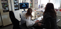 Sonografie