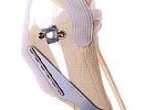 Tibial Tuberosity Advancement - TTA