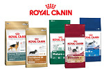 Rozšíření nabídky krmiv o produkty zn. Royal Canin