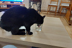 Dnes 9.3. mimořádně